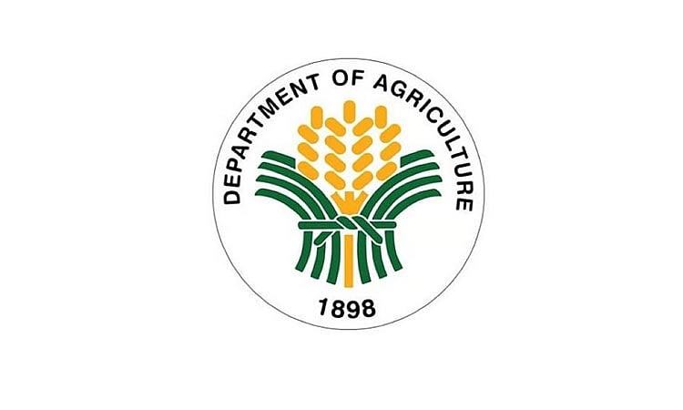 DA commissions P150-M study on Candaba waterway to address flooding
