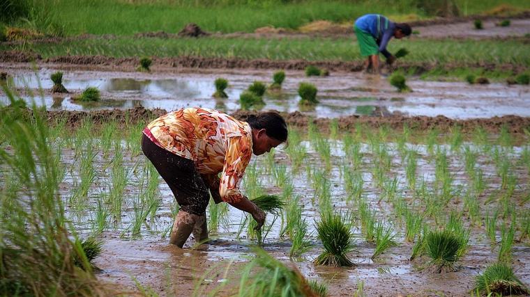 Inflation eases to 6.1% as rice prices surge