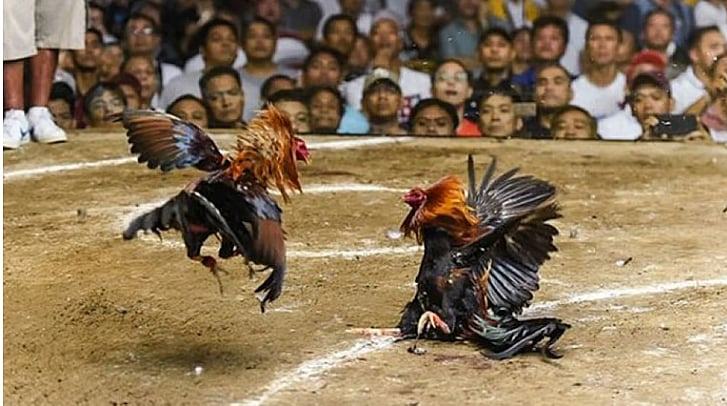Operasyon vs. illegal nga sugal hingusgan sa Syudad sa Sugbo