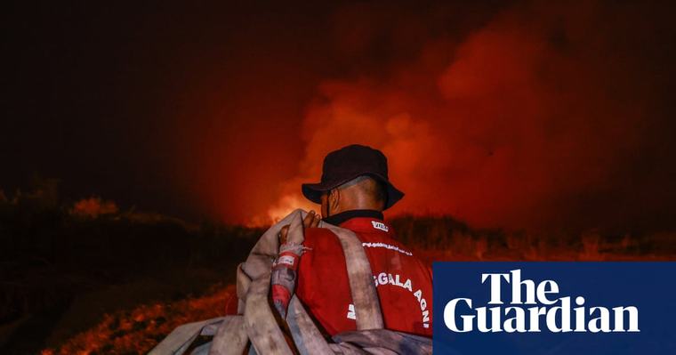 El Nino-fuelled wildfires destroy precious Indonesian forests – in pictures