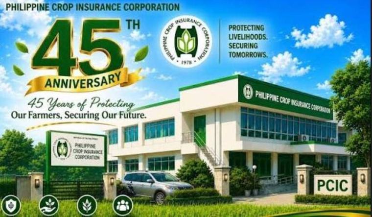 Storm-hit farmers to get P187M in payouts
