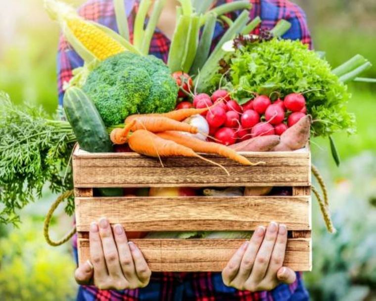 Agri trade deficit widens