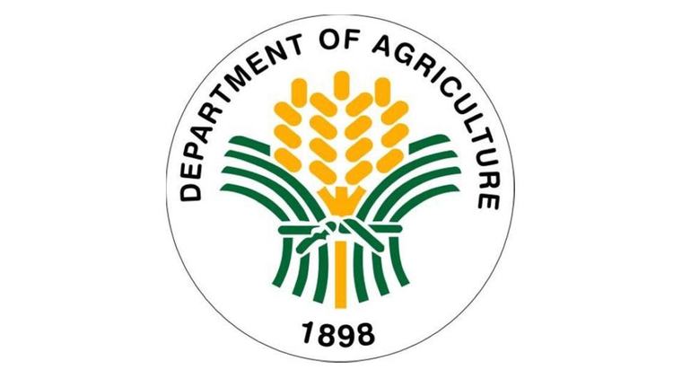 DA eyes canal system for Candaba Swamp