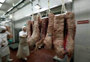 Hog industry presses for prompt AnCEF rollout