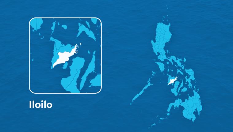 Passi City under state of calamity amid pest infestation