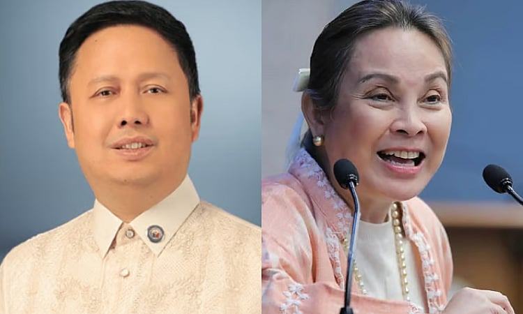 Remulla brothers to talk to French authorities about Co, Legarda
